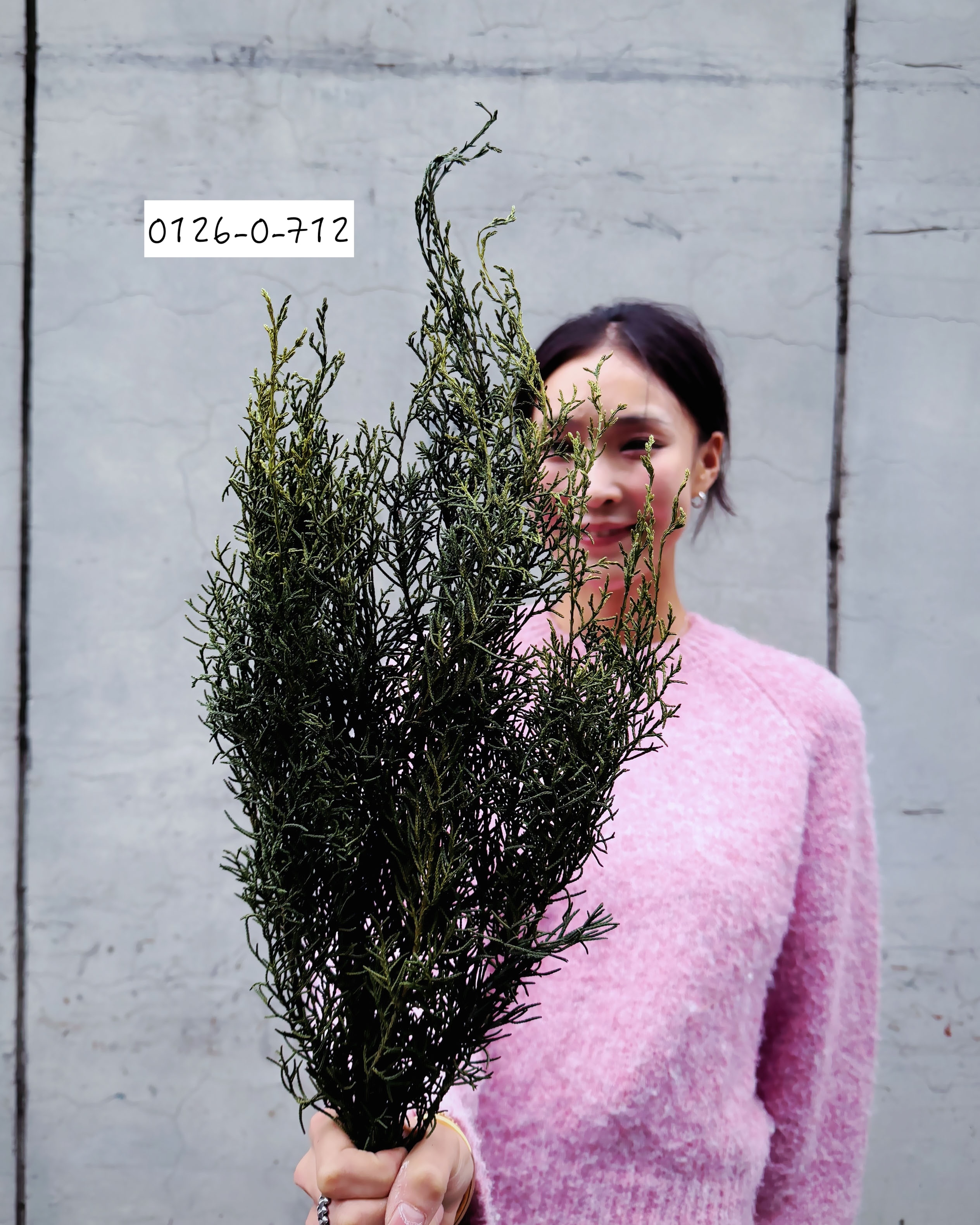 永生冰柏（日本）