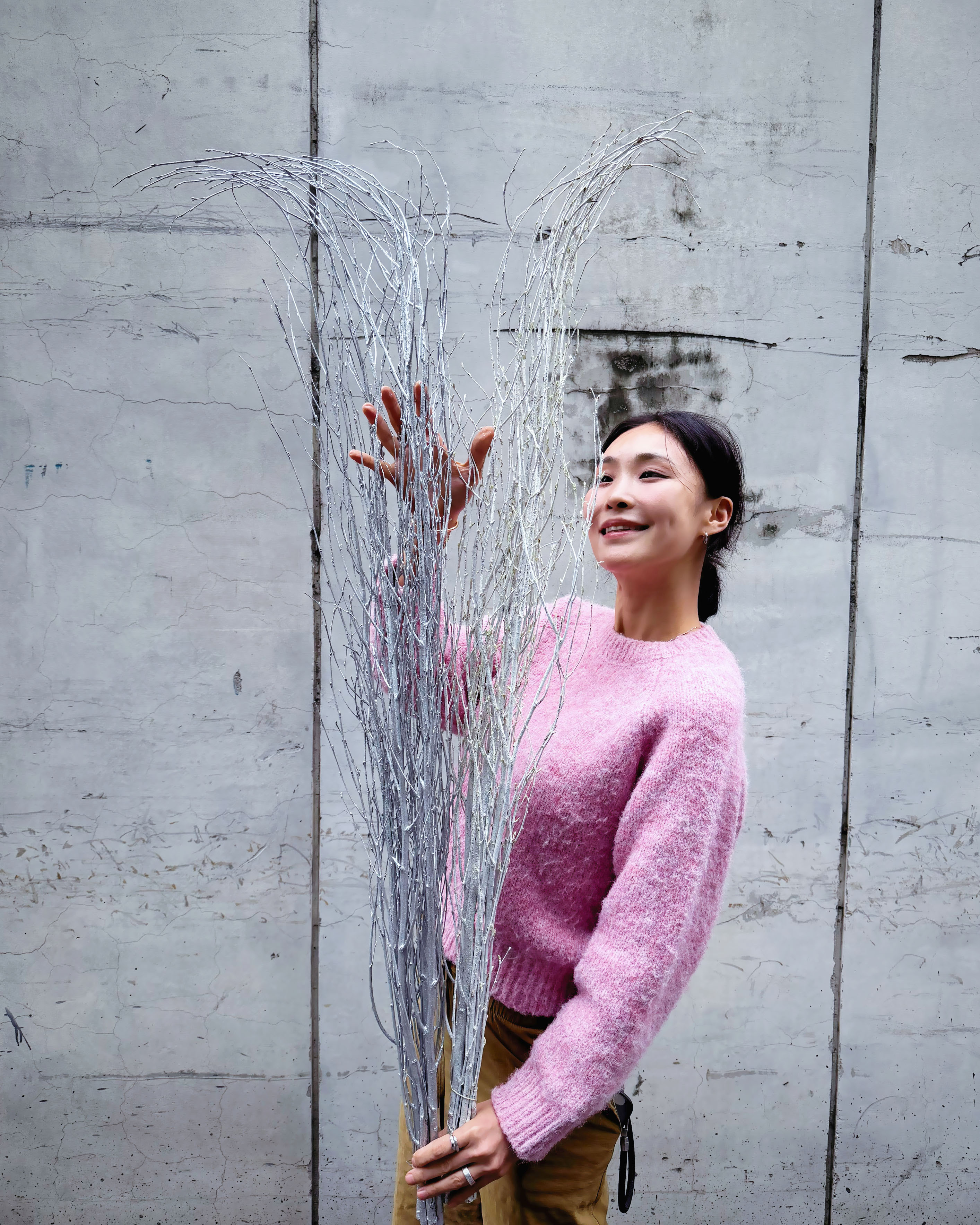 乾燥樺木(義大利)