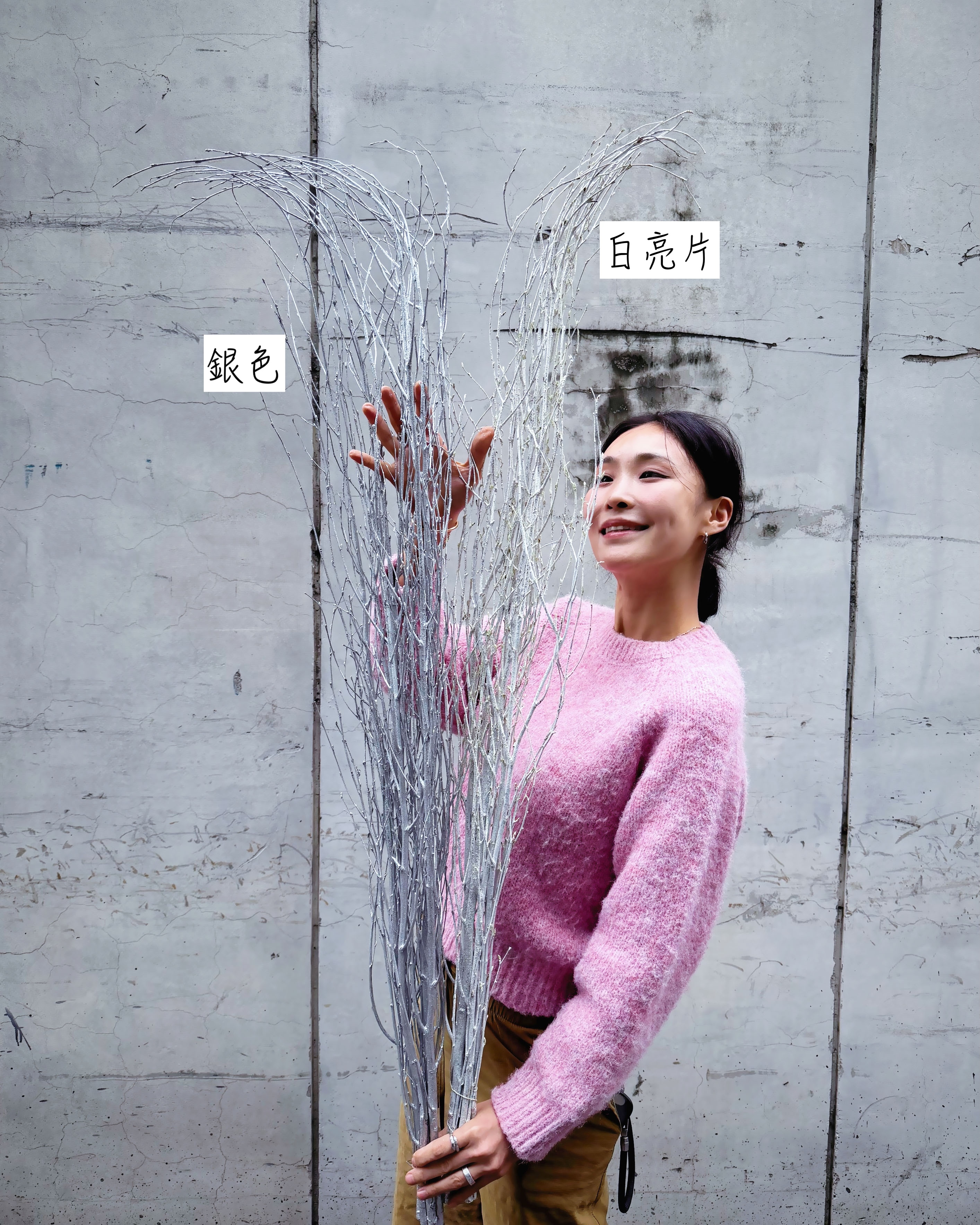 乾燥樺木(義大利)