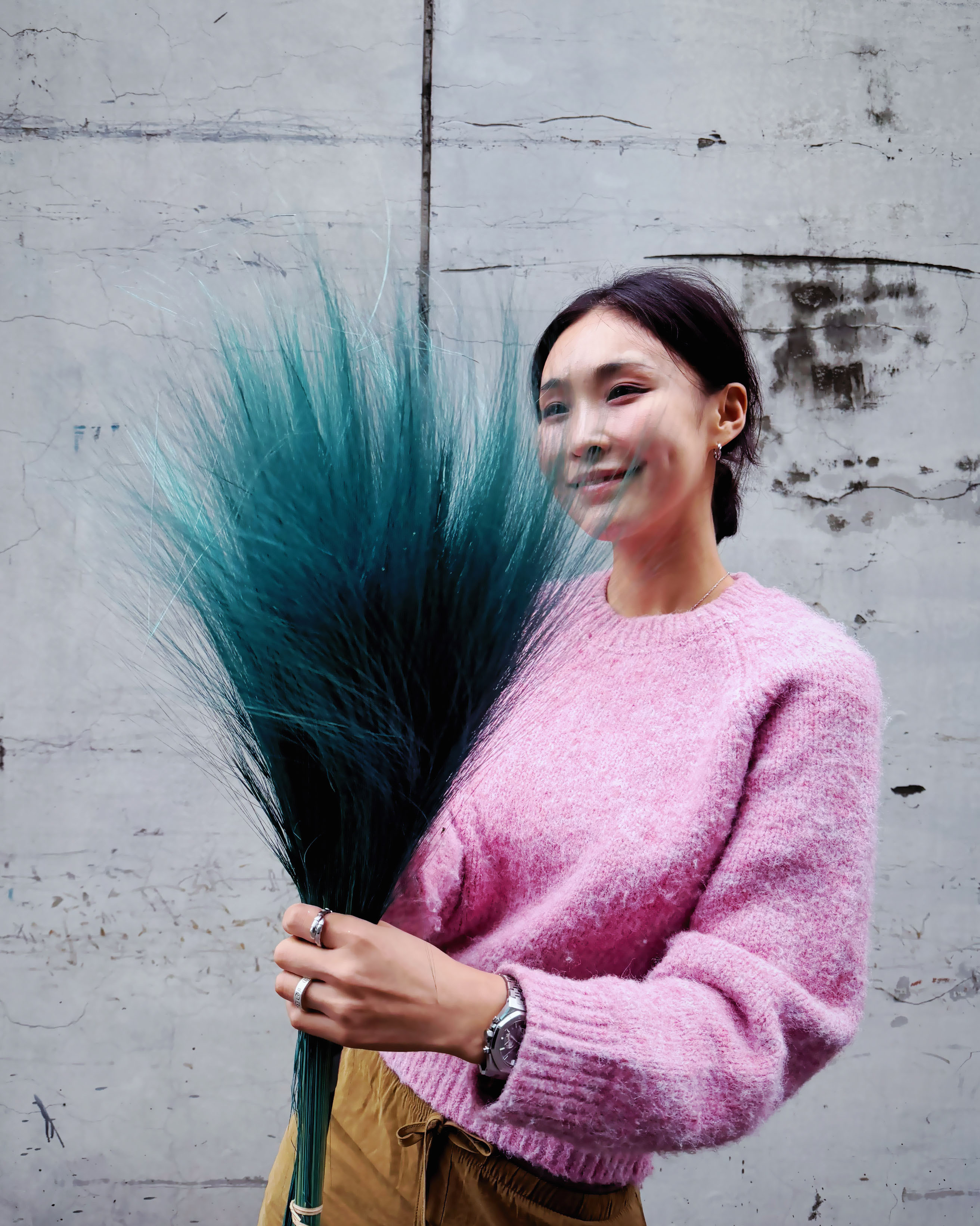 乾燥銀絲草(義大利)