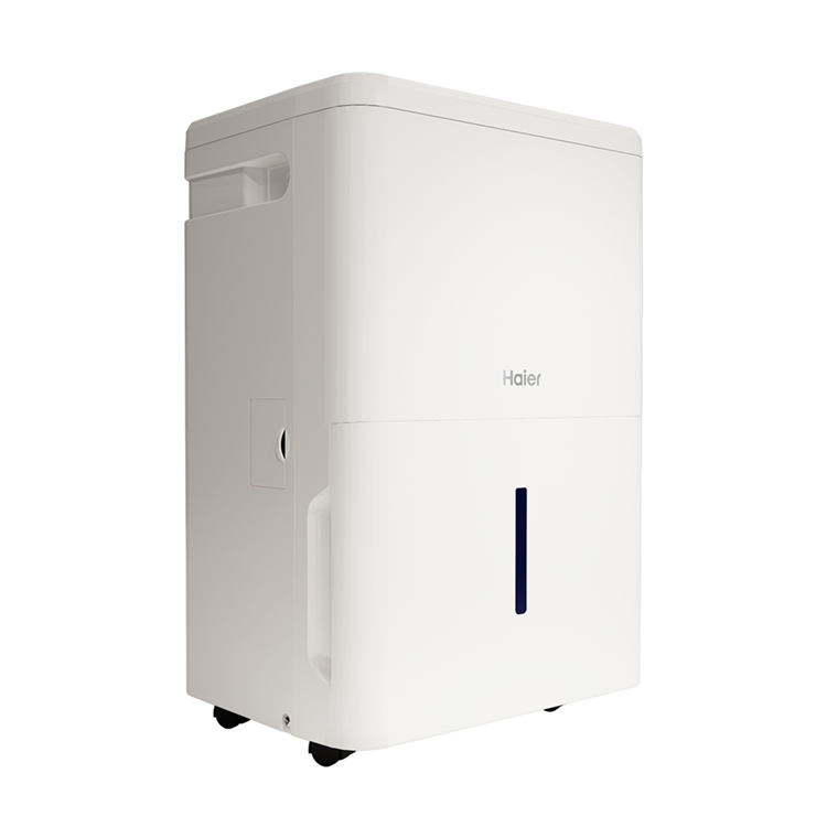 (可議價)Haier 海爾 6L一級省電能效除濕機(H06EA1)