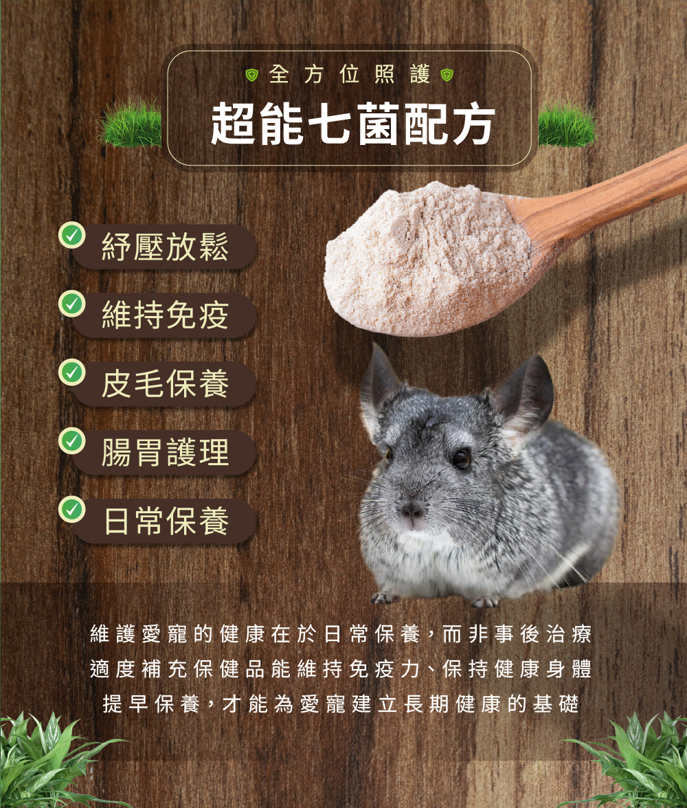 威旺WeWant 絨鼠用益生菌+益生元-超能7菌30g，可幫助絨鼠紓壓放鬆、皮膚保養、腸胃健康