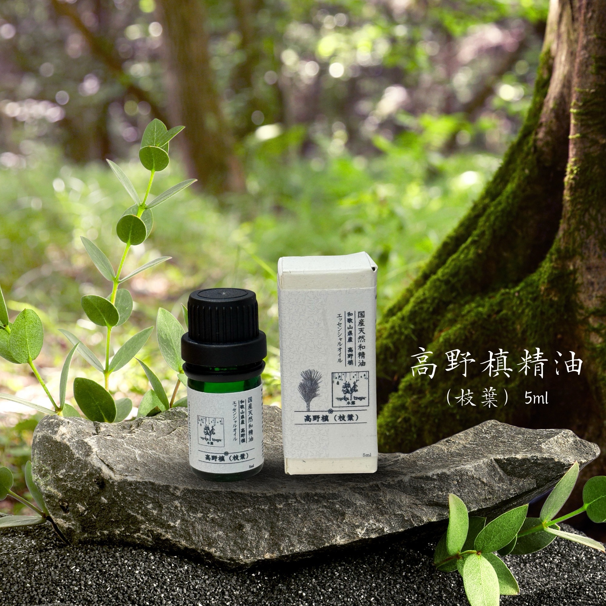 木露 高野槙（枝葉 / 木部）精油 5ml
