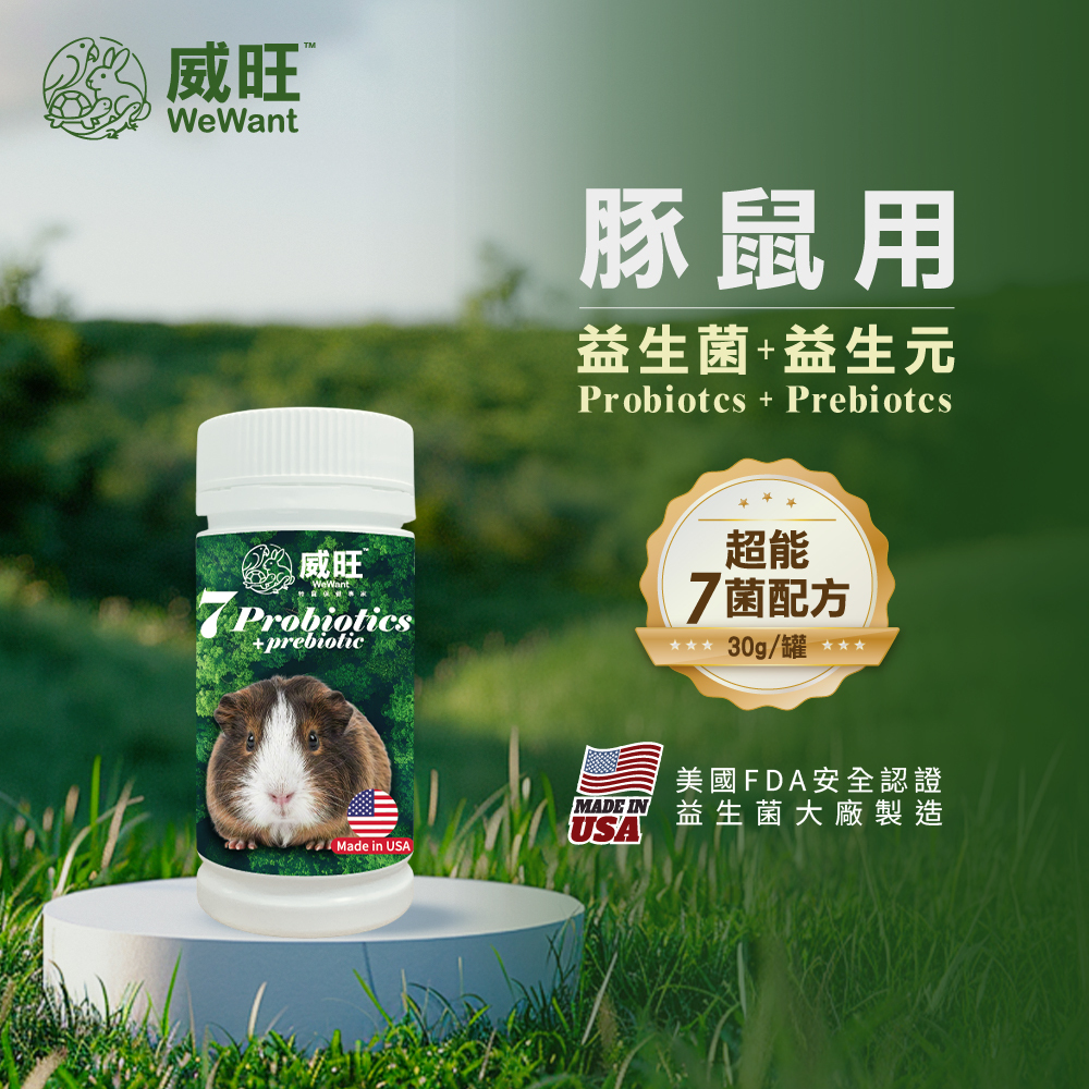 威旺WeWant天竺鼠益生菌+益生元-超能7菌,天竺鼠的益生菌