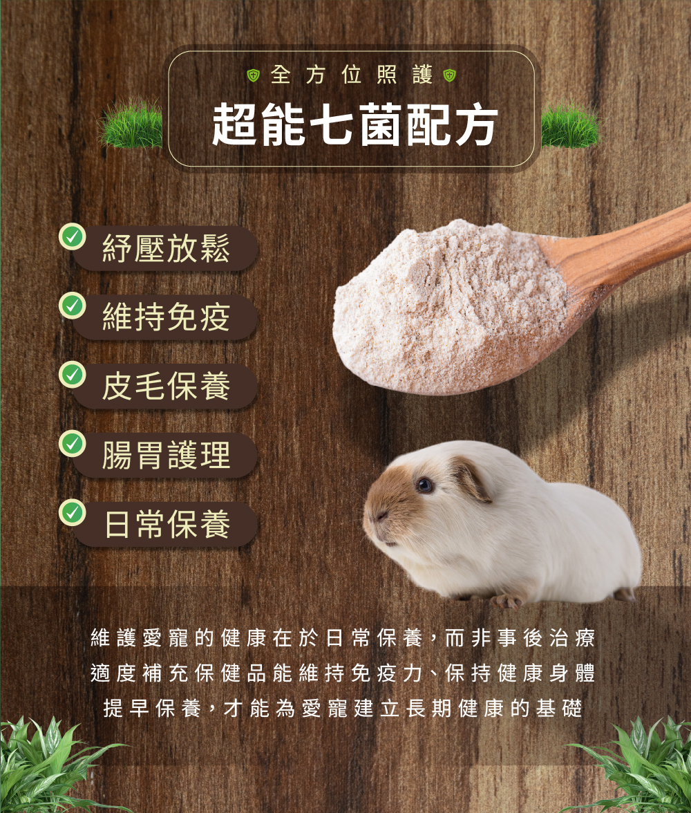 威旺WeWant 天竺鼠用益生菌+益生元,可以幫助天竺鼠紓壓放鬆、皮膚保養、腸胃健康