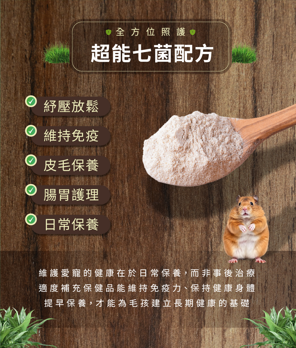 威旺WeWant 倉鼠用益生菌+益生元，可以幫助倉鼠紓壓放鬆、皮膚保養、腸胃健康