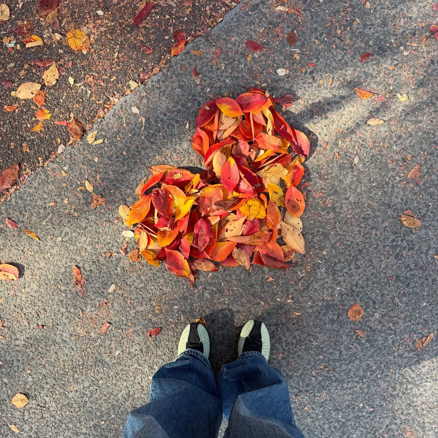 Nike Air Superfly 日本新款 墨綠紅黑 輕量化 薄底 復古鞋 HQ7955-302