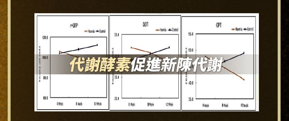 擋9部隊修改-嚴萃保健-27