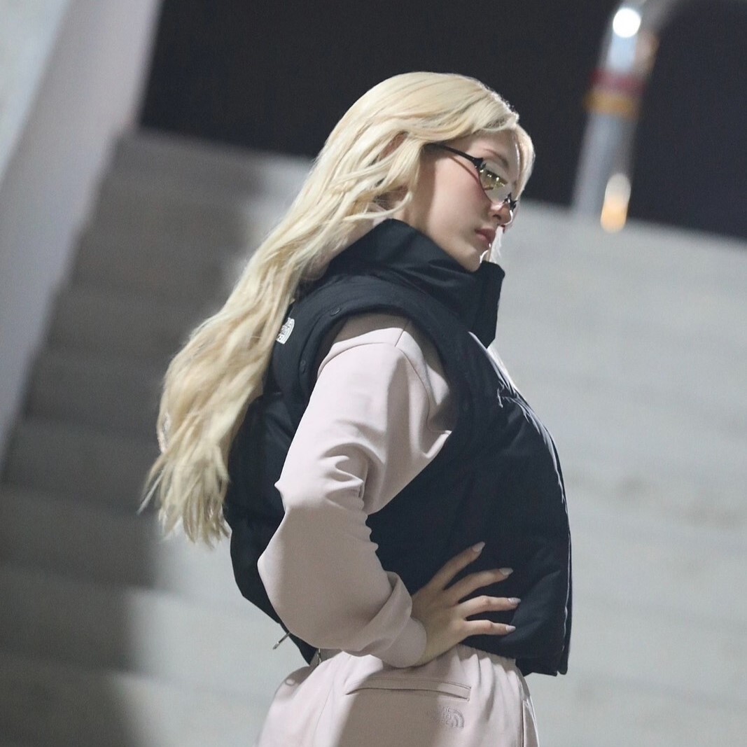 THE NORTH FACE W’S NOVELTY NUPTSE DT JACKET（RDS）兩穿式(背心/外套)｜女款 輕量保暖羽絨外套｜秋冬限定版