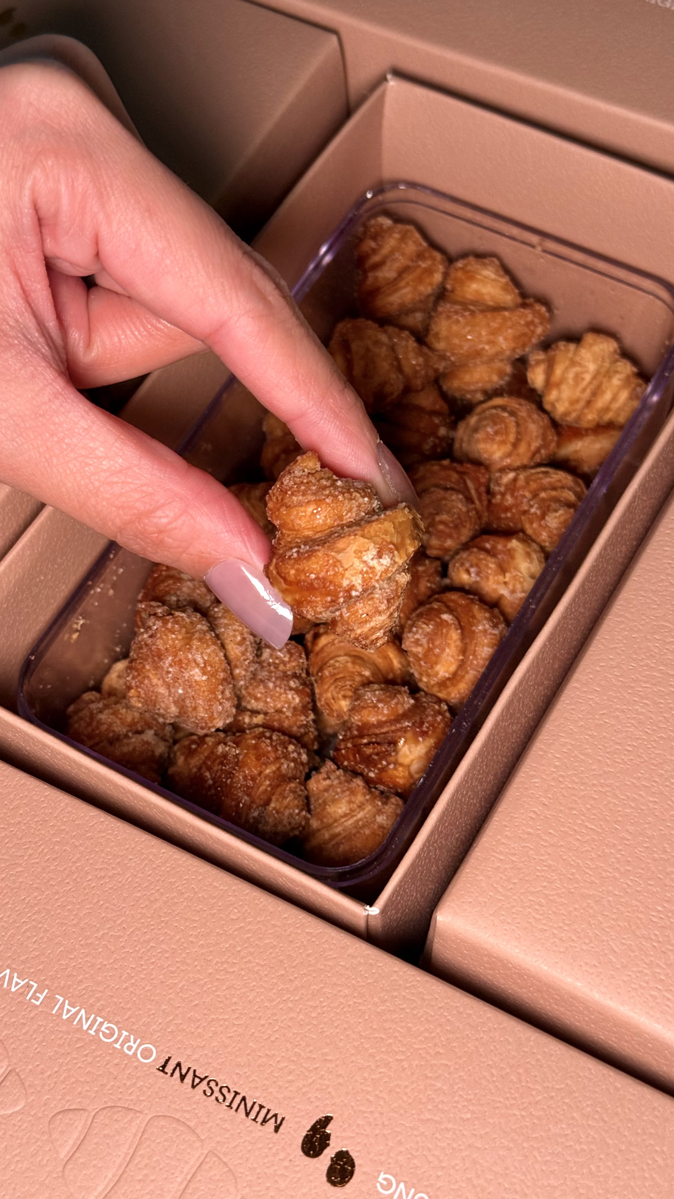 迷你頌Minissant系列