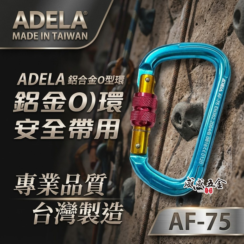 台灣製 ADELA｜鋁D型環｜鋁鉤環 安全帶用鋁合金安全勾 安全掛鉤 登山鉤 可旋轉鎖定安全鉤｜AF-75