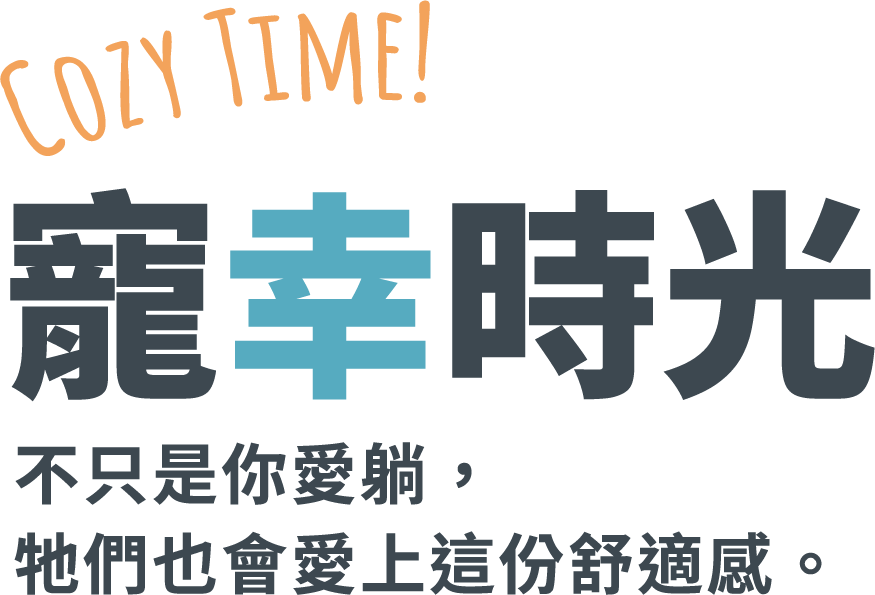 懶骨頭寵物推薦