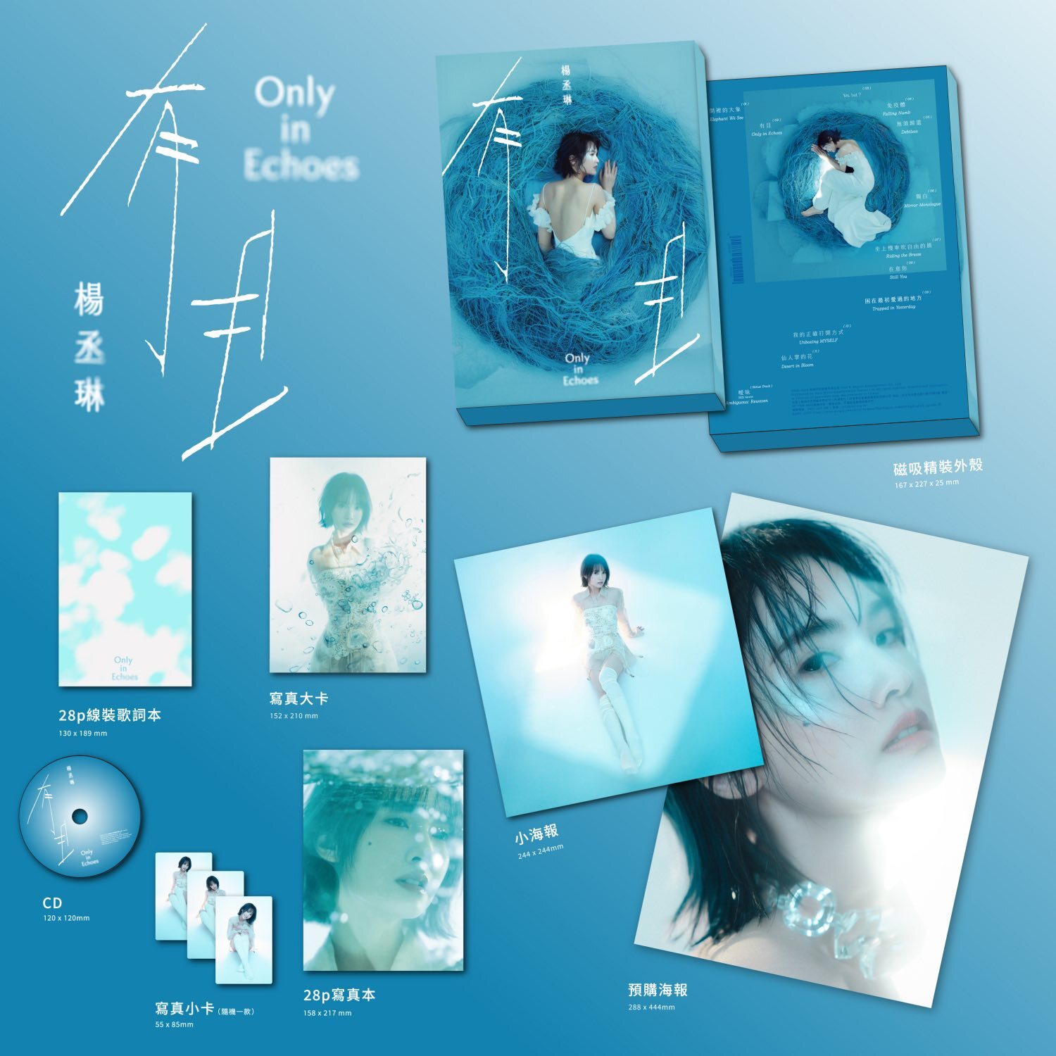 楊丞琳 Rainie Yang - 有且 (CD)