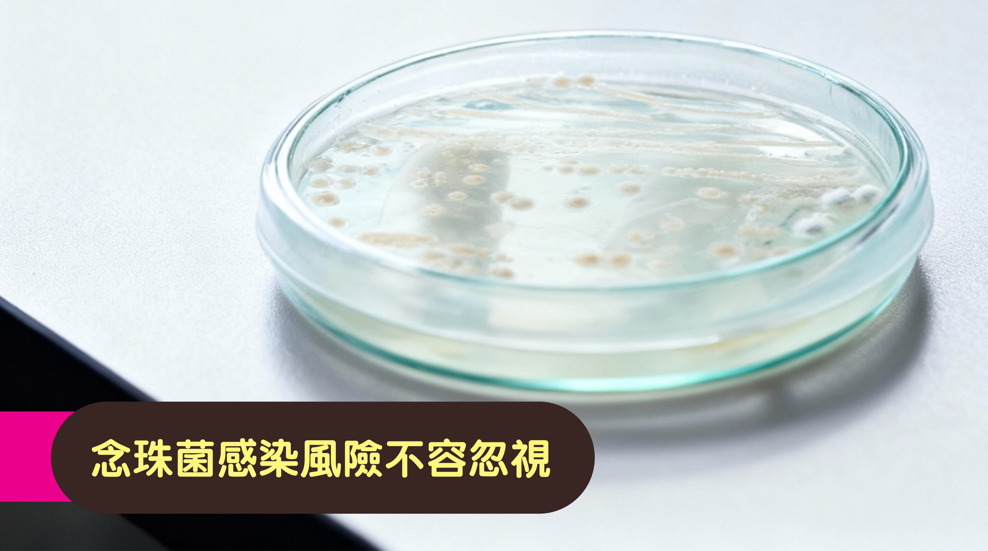 ❗️念珠菌感染風險不容忽視    念珠菌是一種常見真菌，當私密處濕熱、清潔不當或免疫力下降時，便容易滋生。透過正確如廁習慣與清潔方式，能有效降低感染風險。