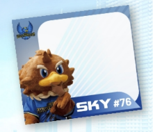 SKY簽名板