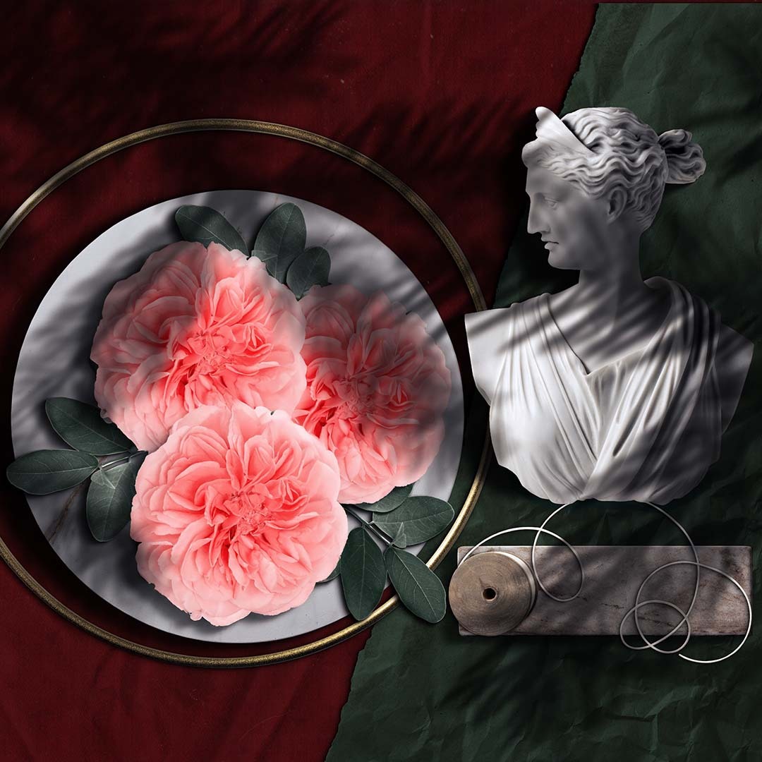 Senteur Lab-瑰茗韶光系列茶香水50ml - 日光圓舞