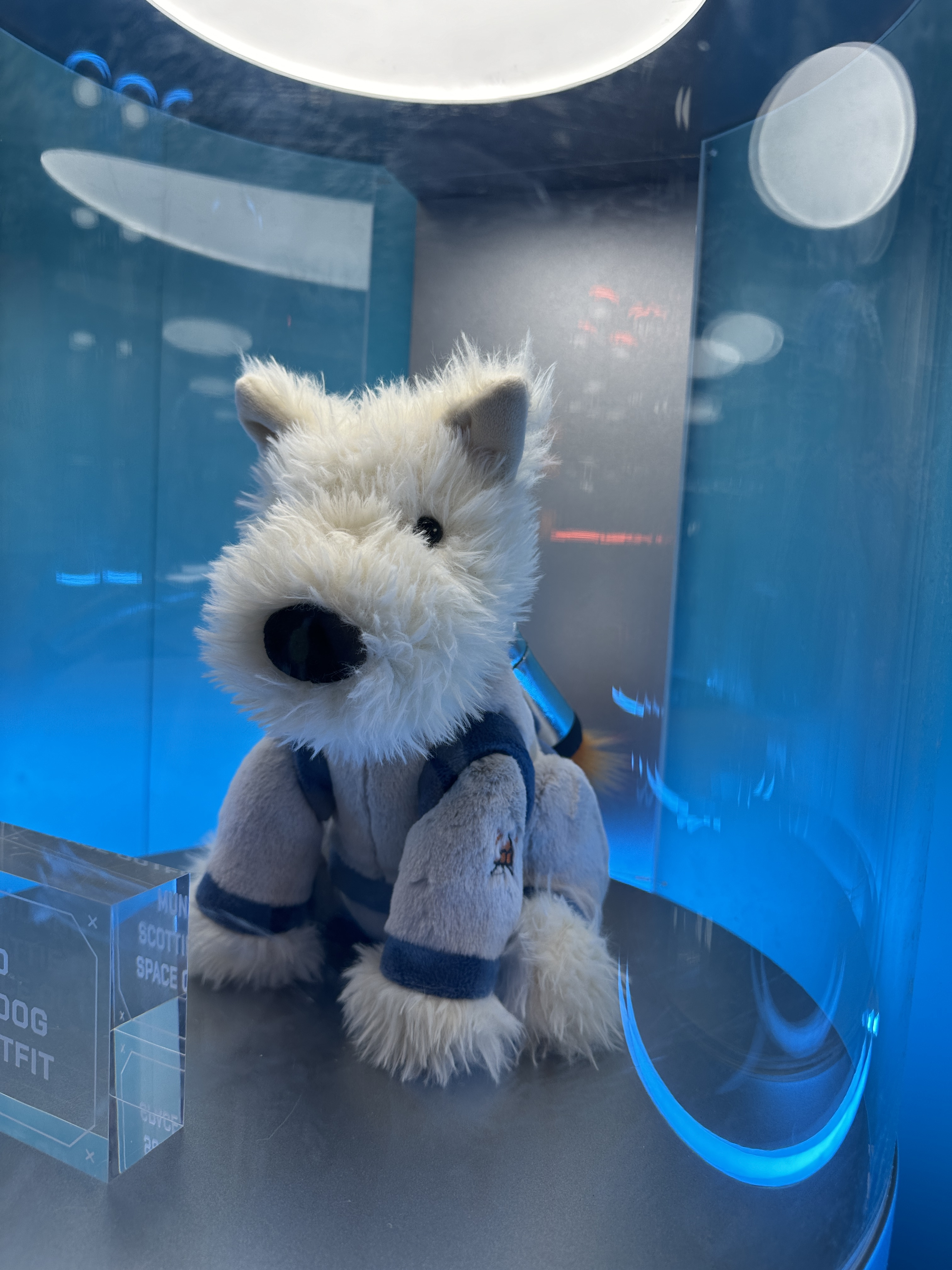 【現貨】Jellycat 韓國限定太空系列  太空狗狗 娃娃