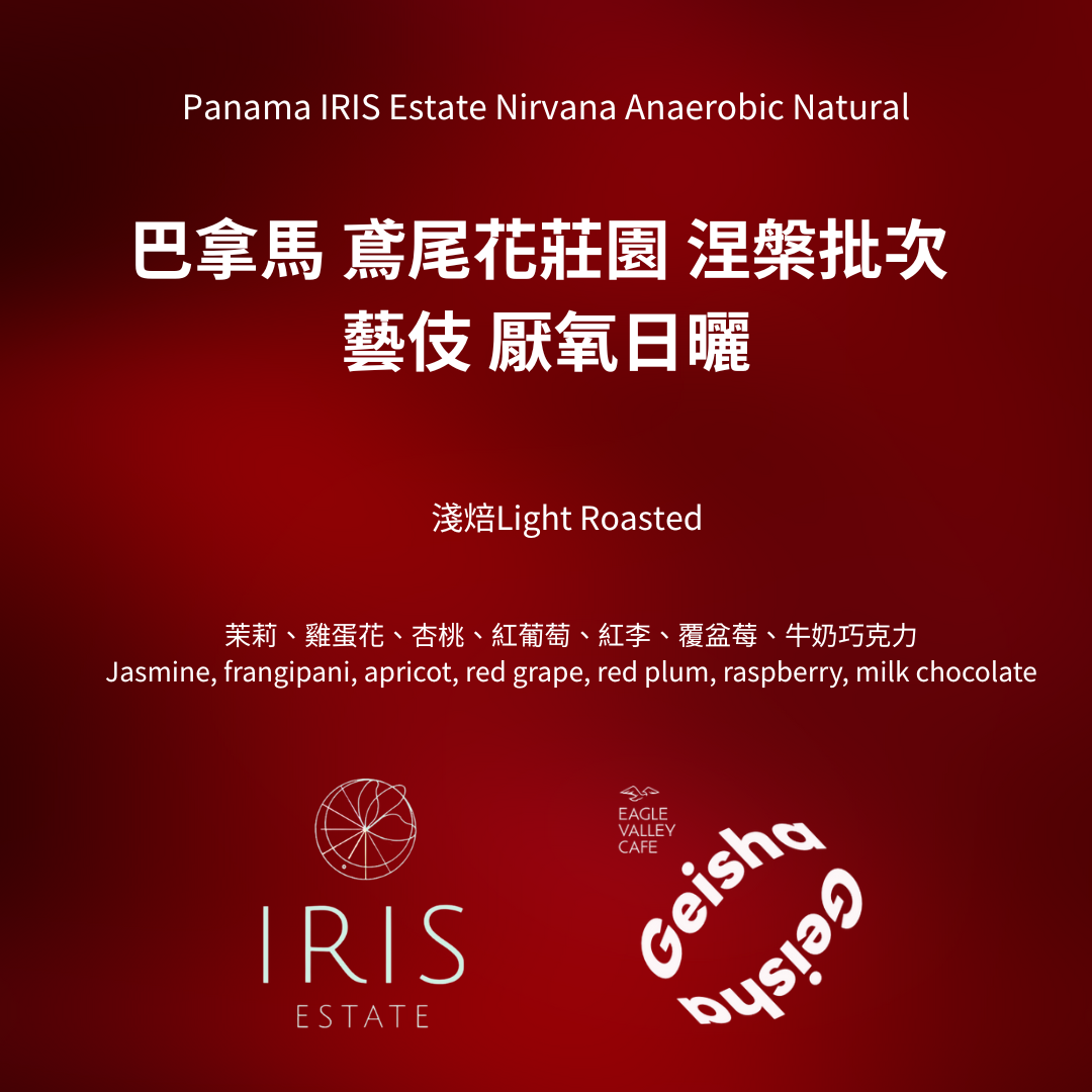 巴拿馬 鳶尾花莊園 藝伎 涅槃 Nirvana 厭氧日曬 淺焙 咖啡豆