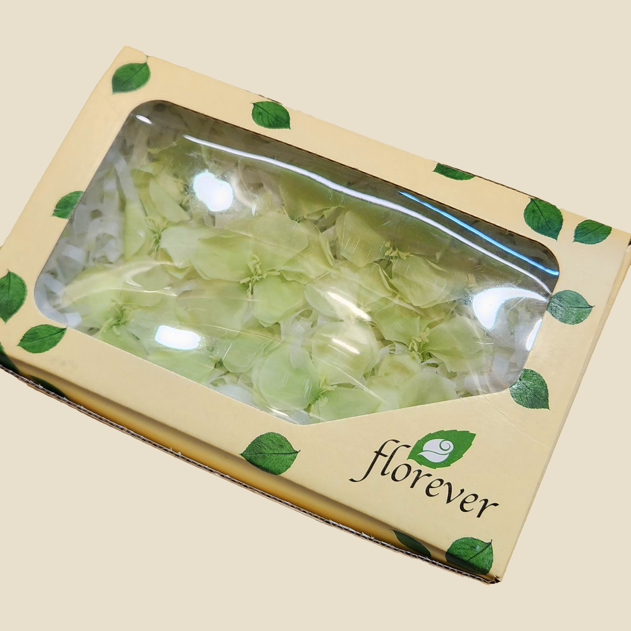 日本Florever FL1401-64 永生幸運草