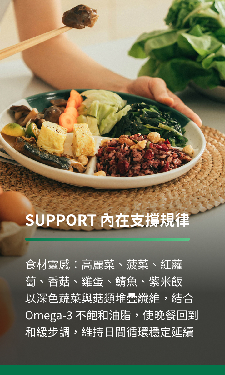 211 飲食法餐盤示範｜SUPPORT 內在支撐規律