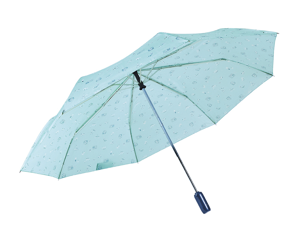 RAINSTORY香榭巴黎抗UV雙人自動傘