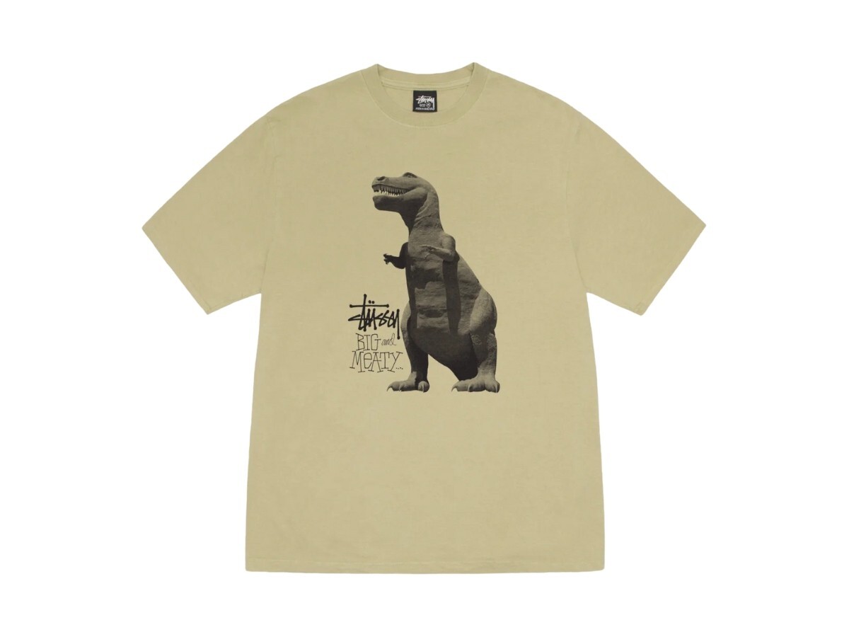 限量現貨 Stussy Big & Meaty Tee Pigment Dyed ELM 恐龍