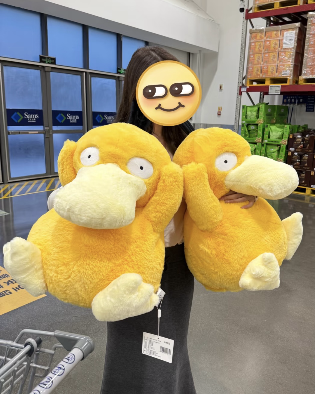 <正版授權>寶可夢 可達鴨 卡比獸 毛絨娃娃 毛毯 玩偶