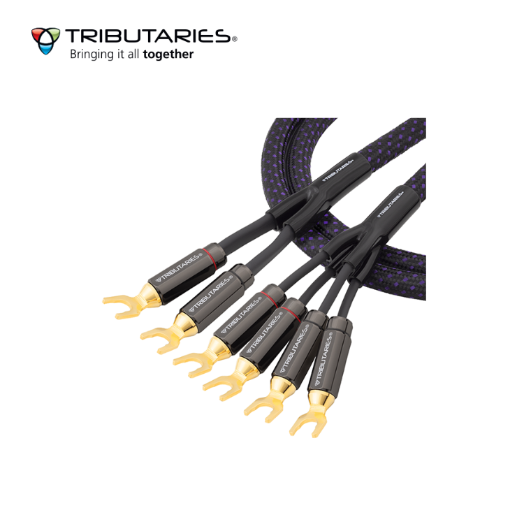 Tributaries 6BW MKII Bi-Wire 喇叭線 (4N HC-OFC高傳度無氧銅) (1對)