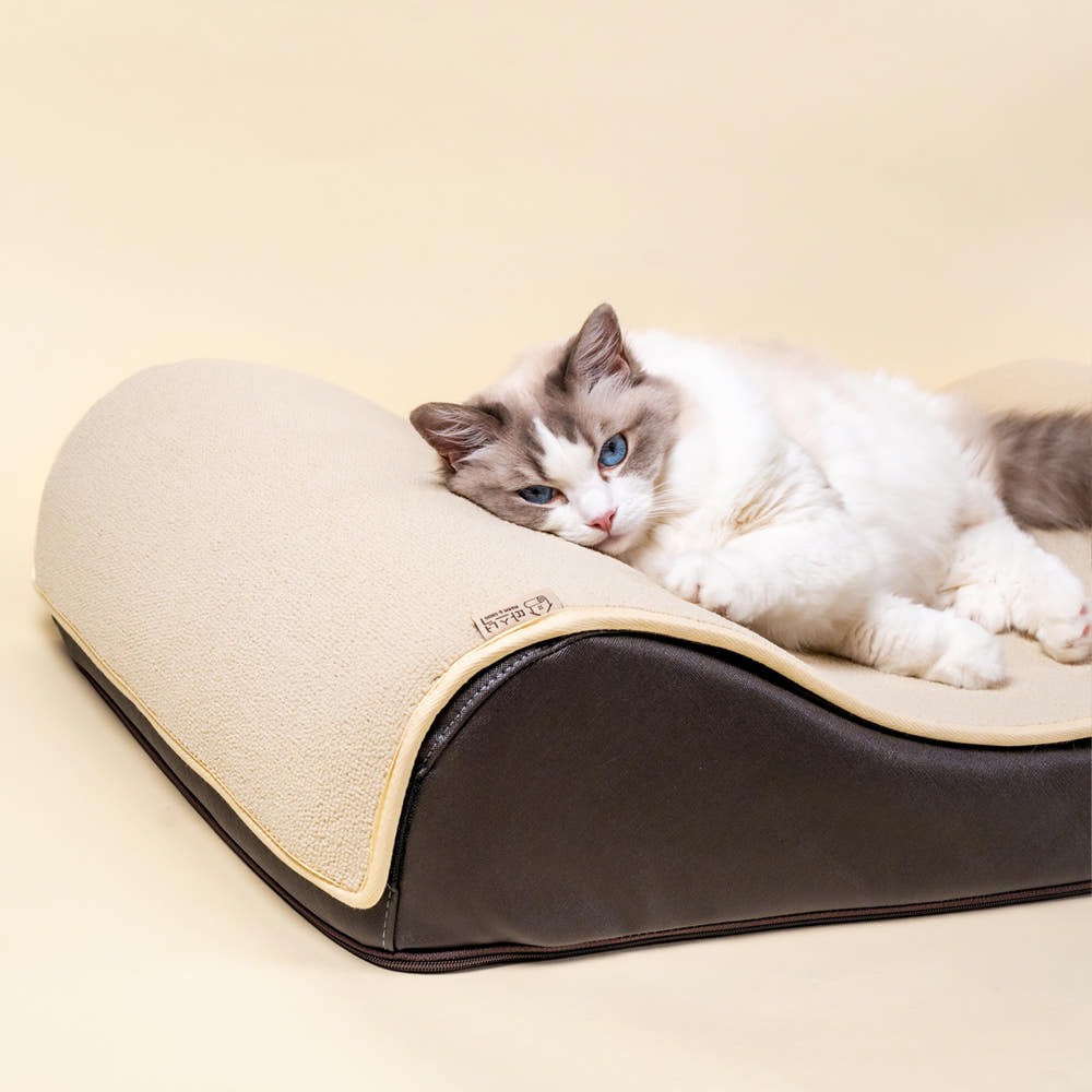 【ℕ𝔼𝕎】王者貓貓巨無霸抓抓沙發┃米色