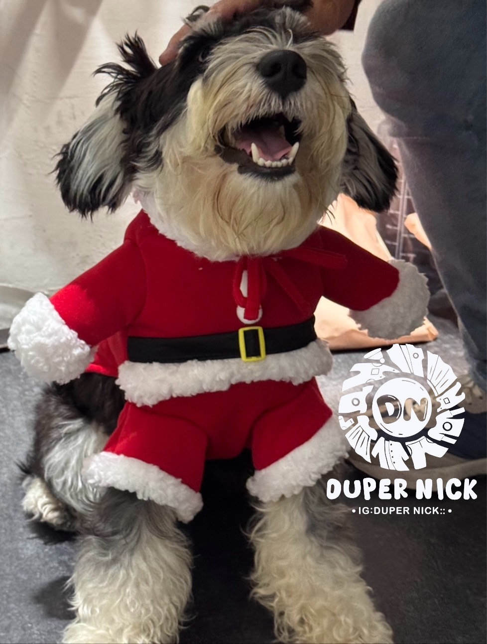 韓國 可愛狗狗貓咪裝 - 服飾 (店長Duper實著)