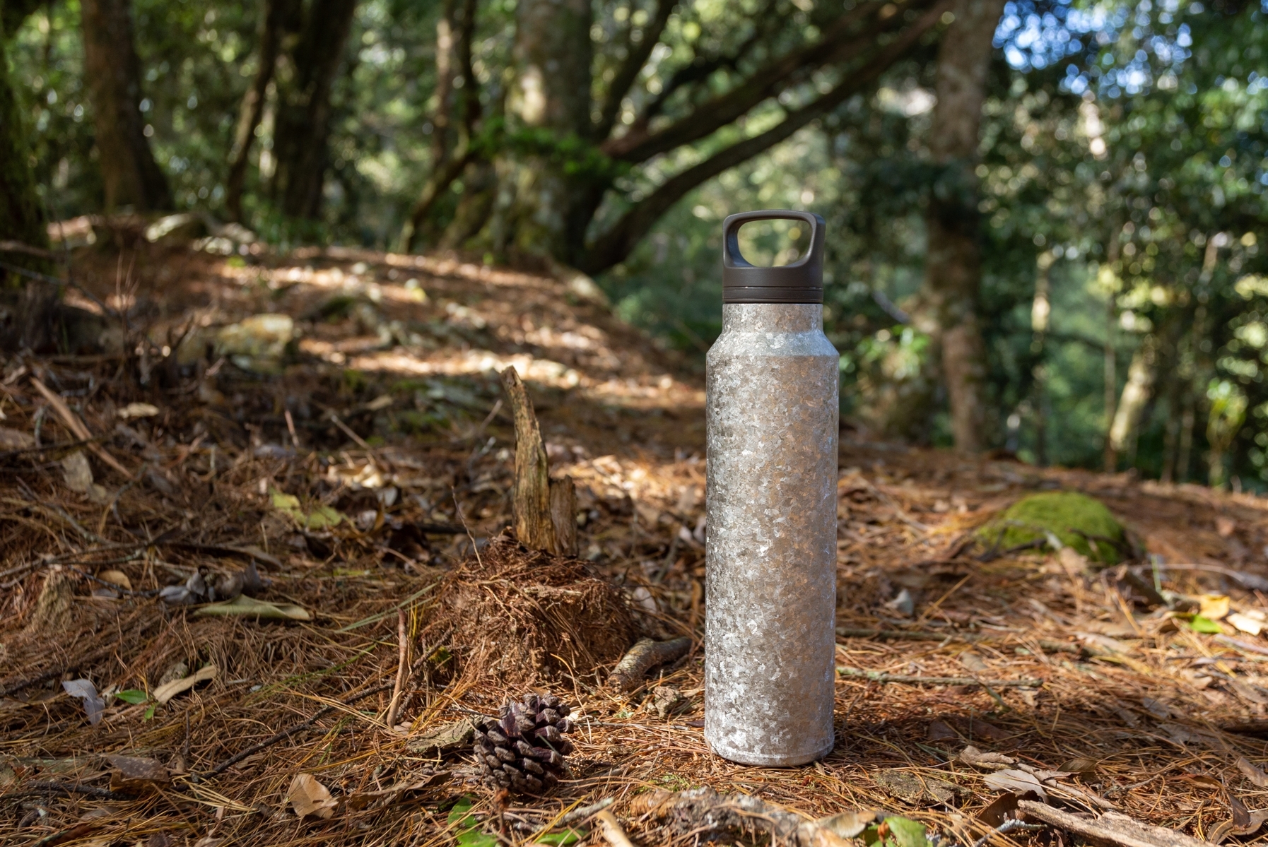 鈦輕瓶220｜晶鈦系列｜羽霧銀-提把蓋
