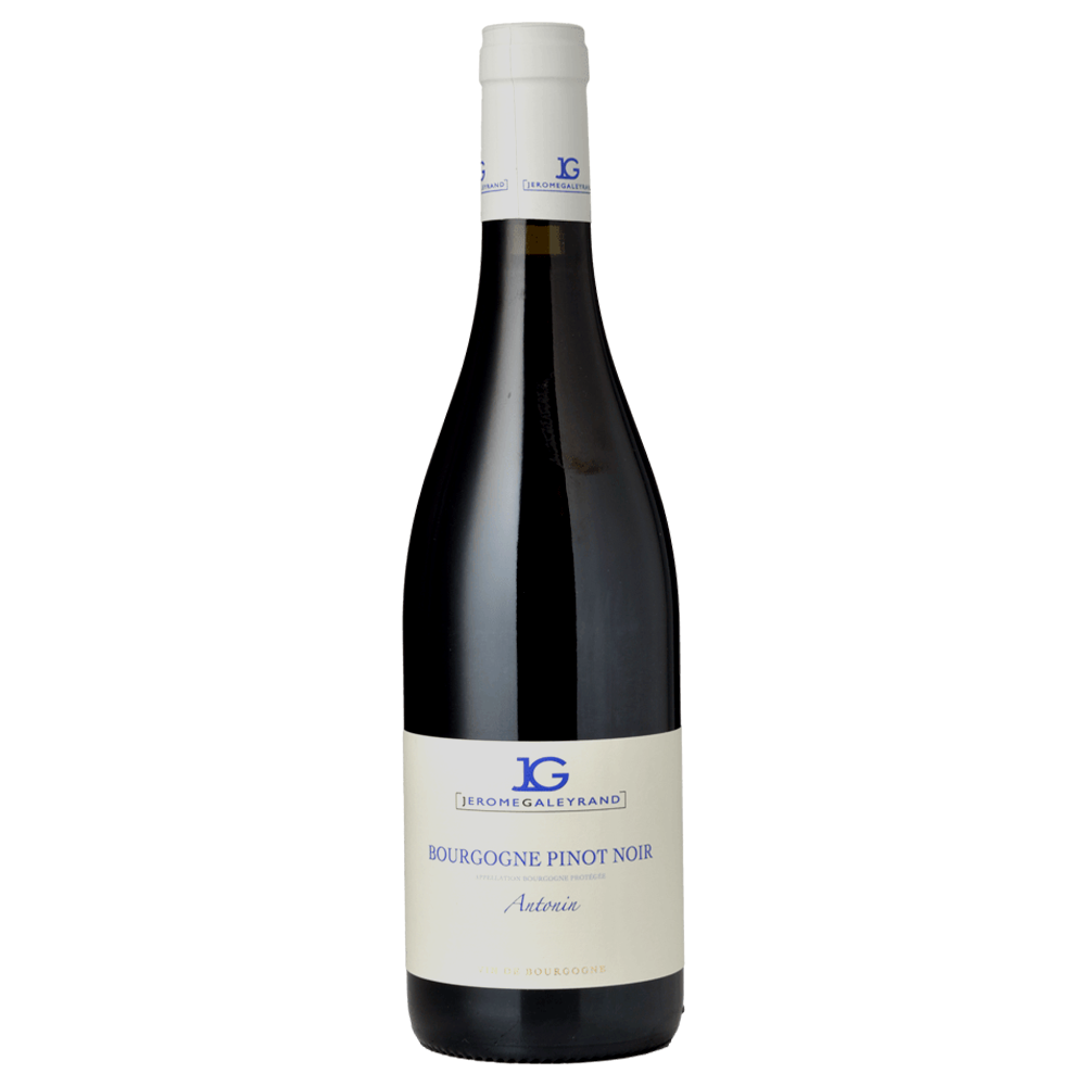 Jerome Galeyrand Bourgogne Rouge Antonin 2022