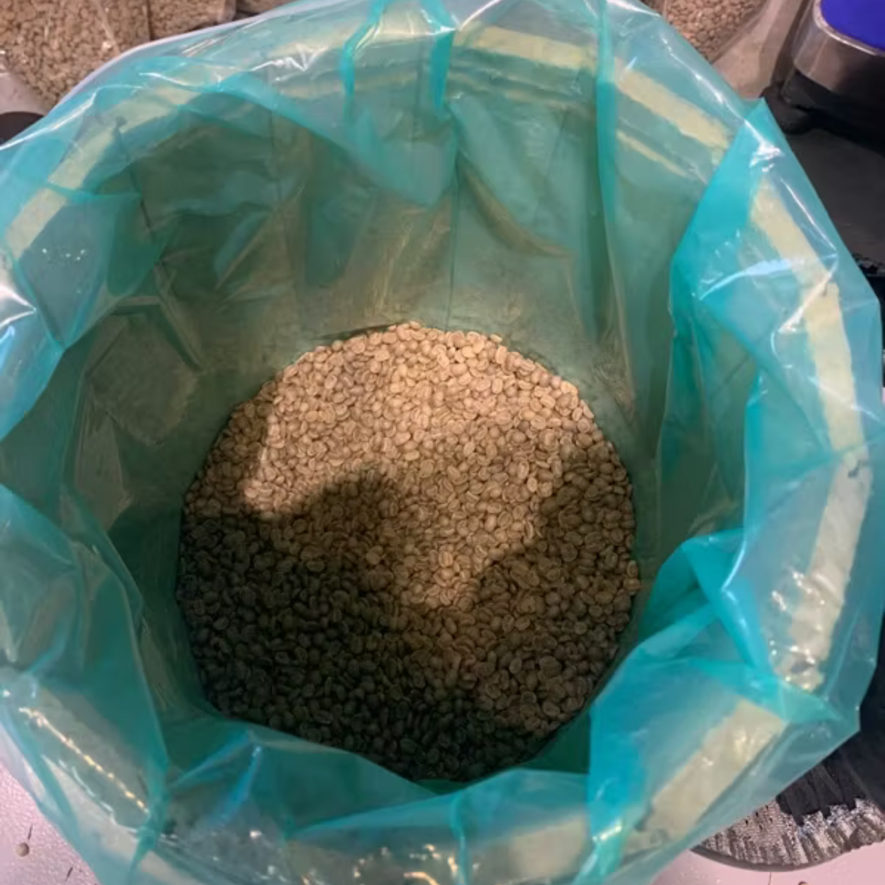 牙買加（克里斯戴爾）日曬藍山No.1買一送一（半磅裝）