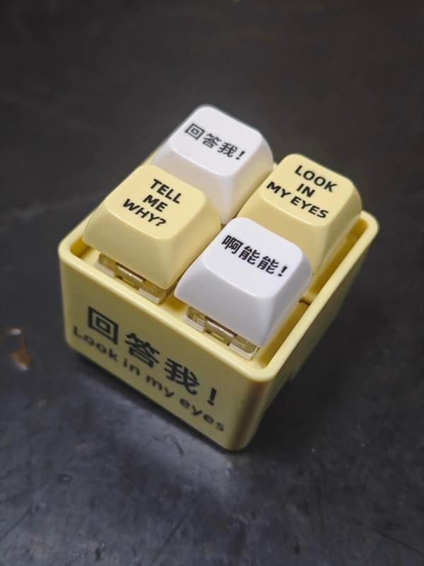 回答我！Look in my eyes! Tell me why? 語音鑰匙圈