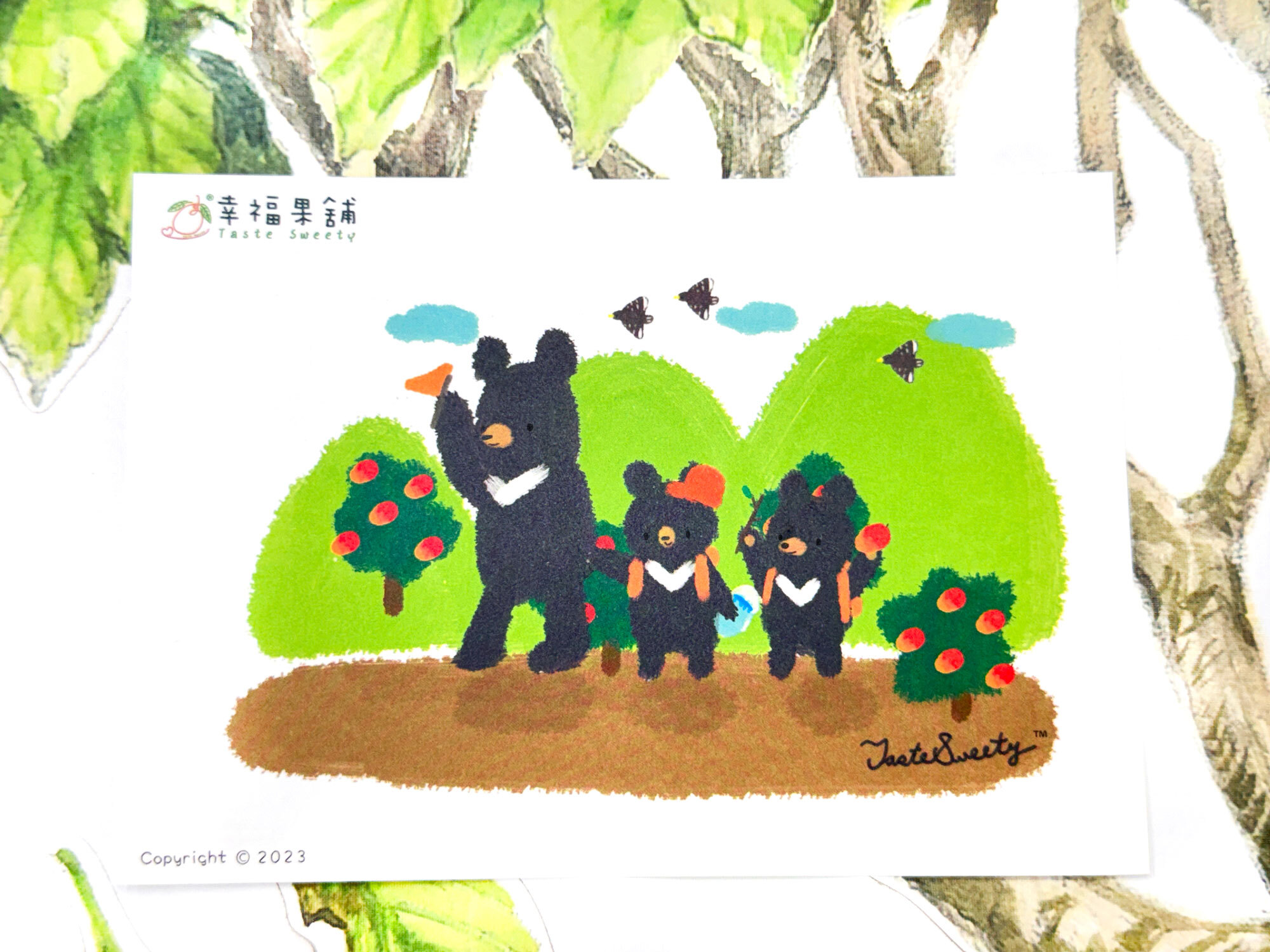 遠足熊版明信片小卡