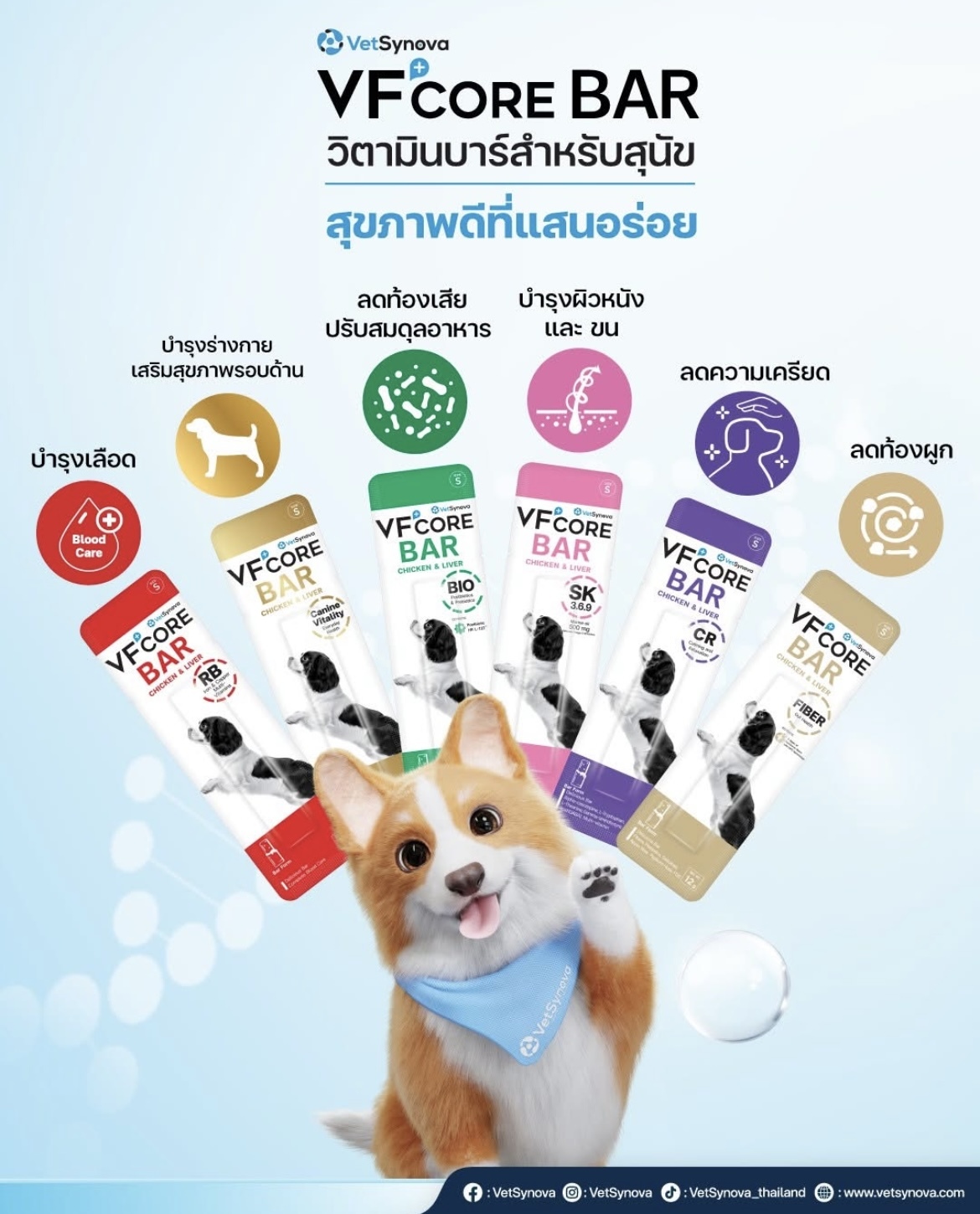 （6款）泰國VetSynova VF Core Bar 狗狗營養補充肉條