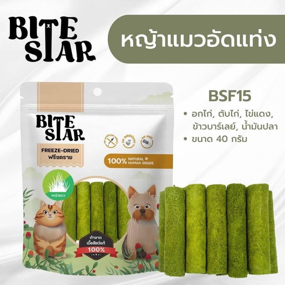 泰國Bite Star 凍乾寵物零食40g - 凍乾貓草棒