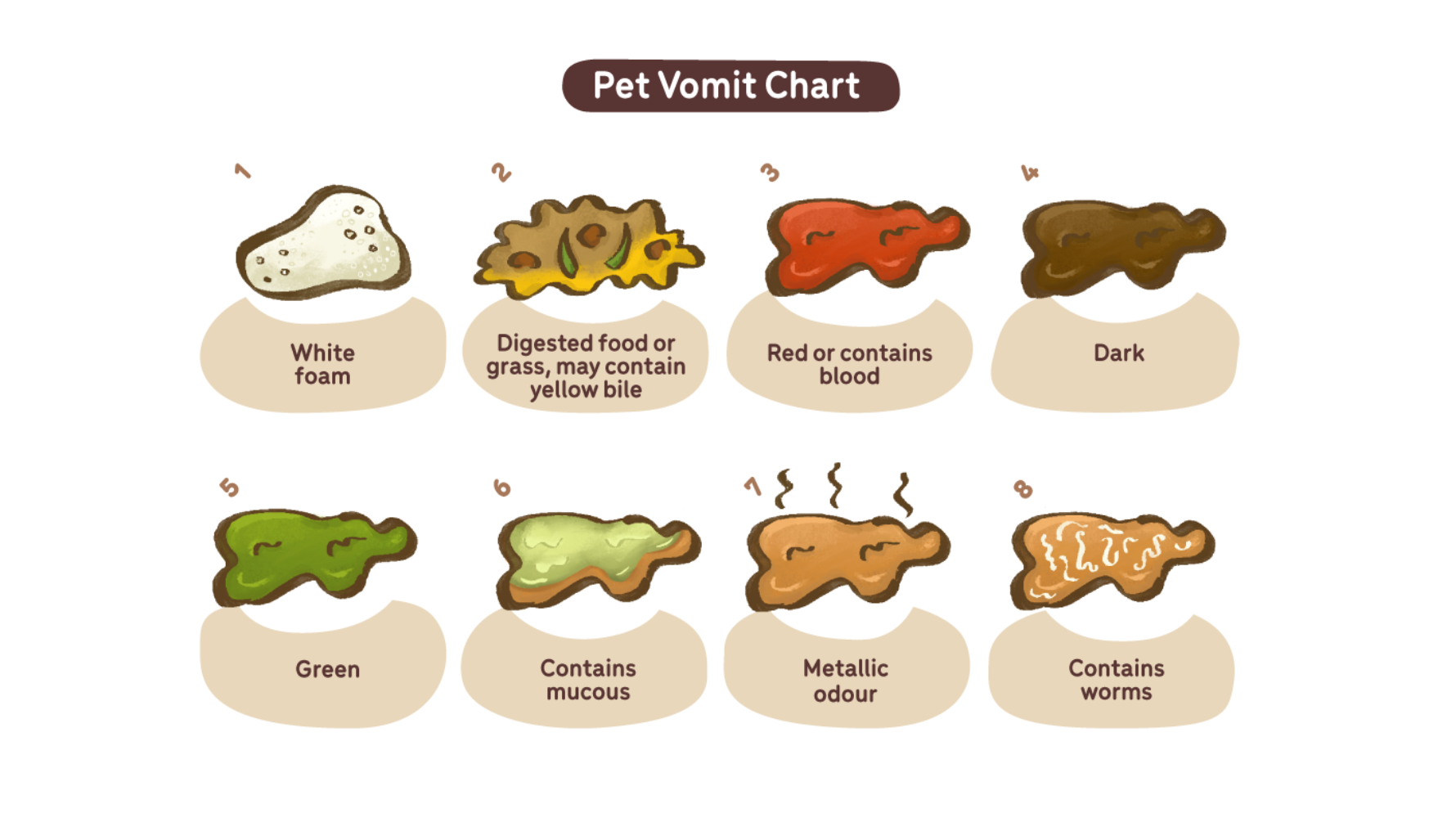 嘔吐物的顏色常能提供一些「發生背景」的線索，有助於家長判斷嘔吐可能與哪些情況有關。以下整理六種在家中最常看到的嘔吐物外觀，協助家長快速掌握資訊。不過顏色本身只能提供參考，仍需搭配精神狀態與嘔吐頻率一起觀察。