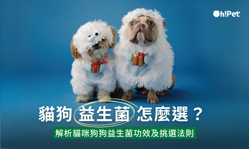 獸醫解析貓狗益生菌功效及挑選法則
