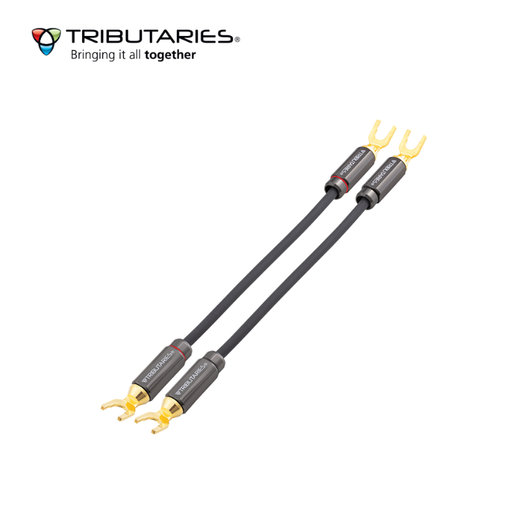 Tributaries 6SJ MKII Speaker Jumper (4N HC-OFC) (For pair of speaker)