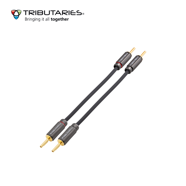 Tributaries 6SJ MKII Speaker Jumper (4N HC-OFC) (For pair of speaker)