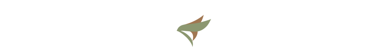 Falcosia Logo