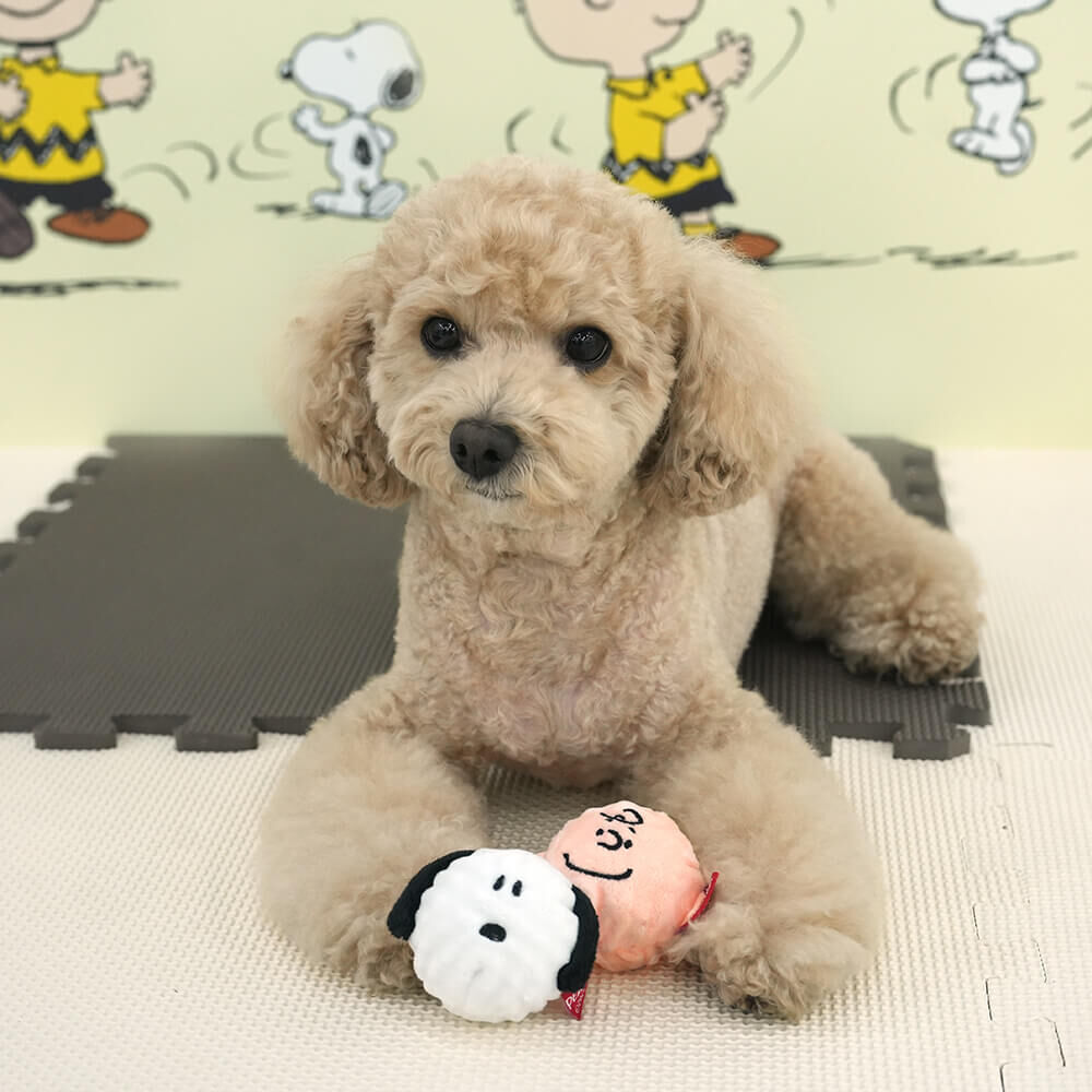 史努比互動啾啾玩具球