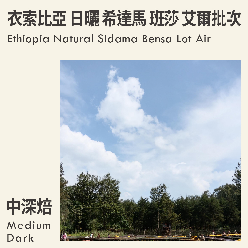 衣索比亞 日曬 希達馬 班莎 艾爾批次 (中深焙)
