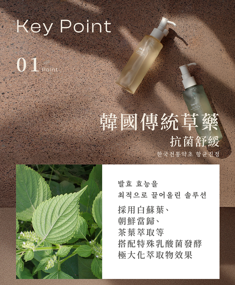 重點1採用韓國傳統草藥,搭配特殊乳酸菌發酵