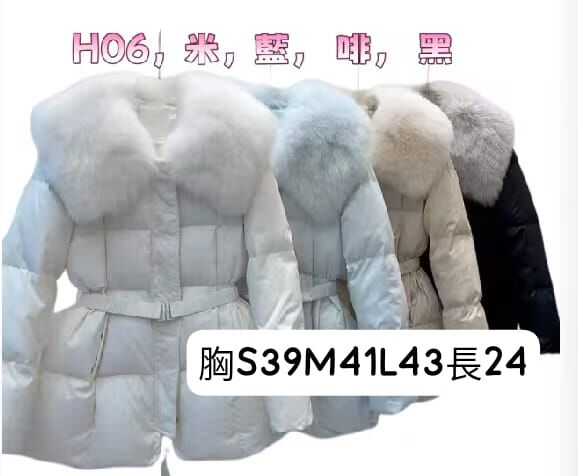 H06   韓國🇰🇷羽絨毛毛縷  鴨絨70%   鵝絨30%   胸S39 M41 L43 , 長24   原價 $999  可拆毛毛