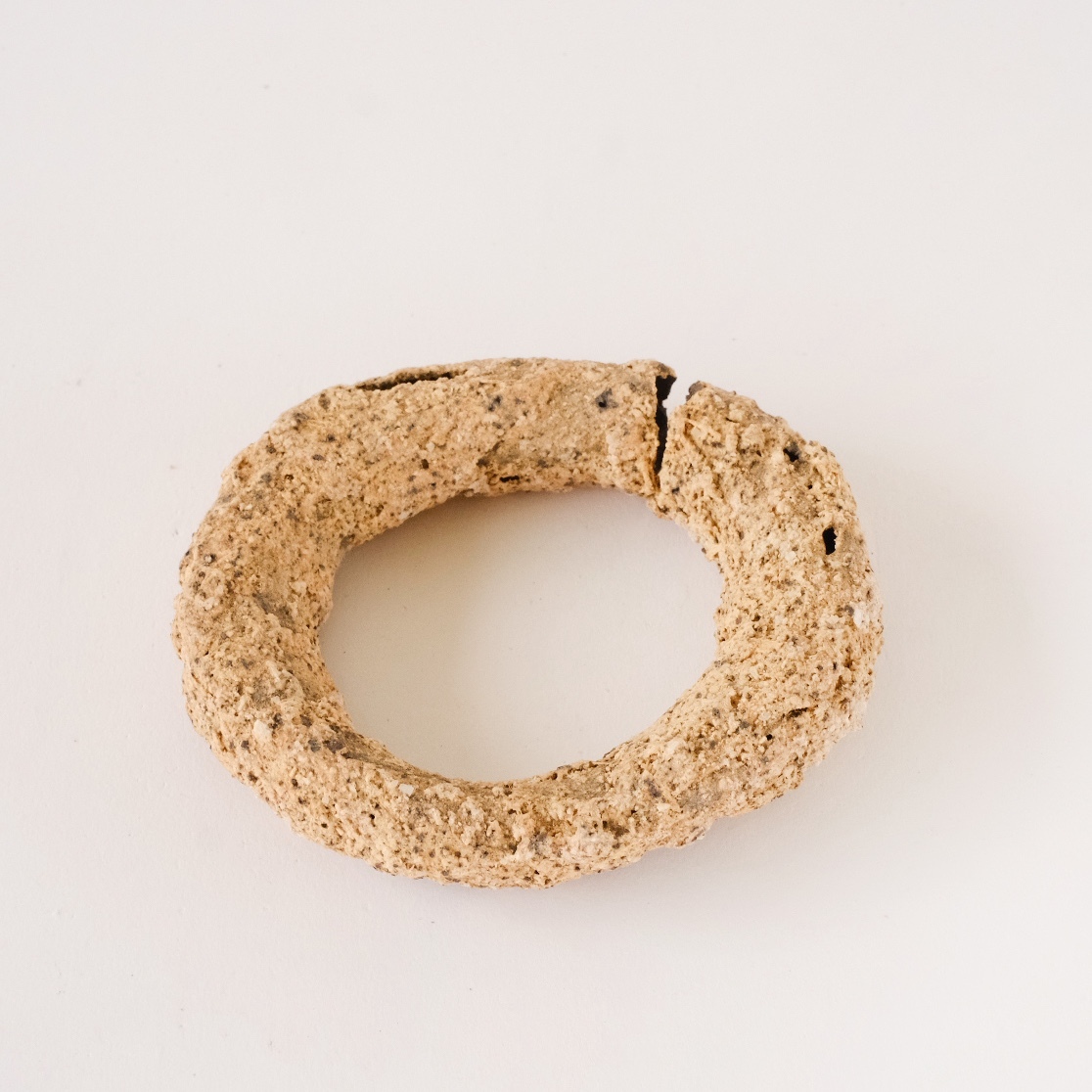 ouroboros V