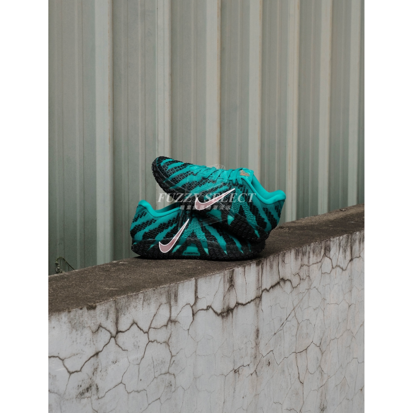 【逢甲 FUZZY】Nike JA 3 EP "Grizzlies"  灰熊隊 黑綠 HF2794-300