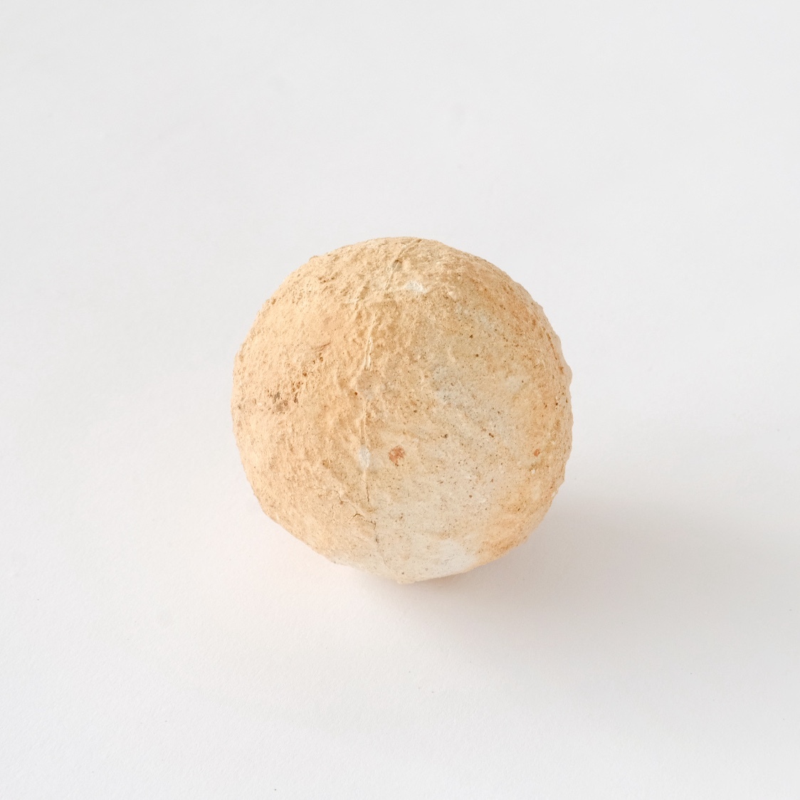 egg of life II
