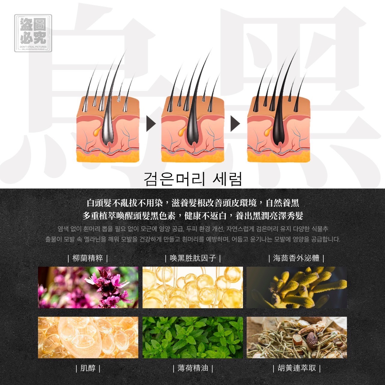 WSBB8994  🔥韓國 外祕體系列頭皮護理噴霧（現貨T42）